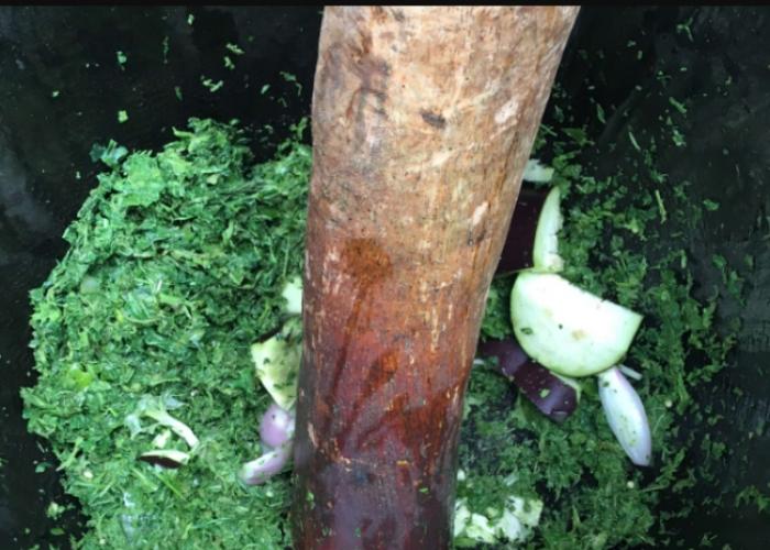Pondu ou feuille de manioc en plein pilage, photo tirée : la nutrition à l'Africaine 